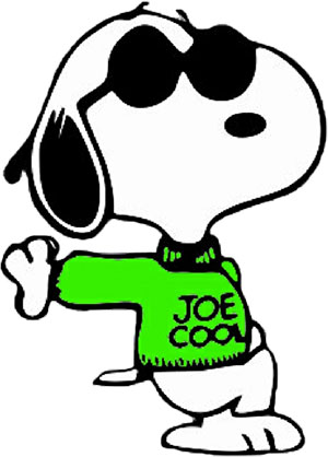 Bilder Cool - KibrisPDR