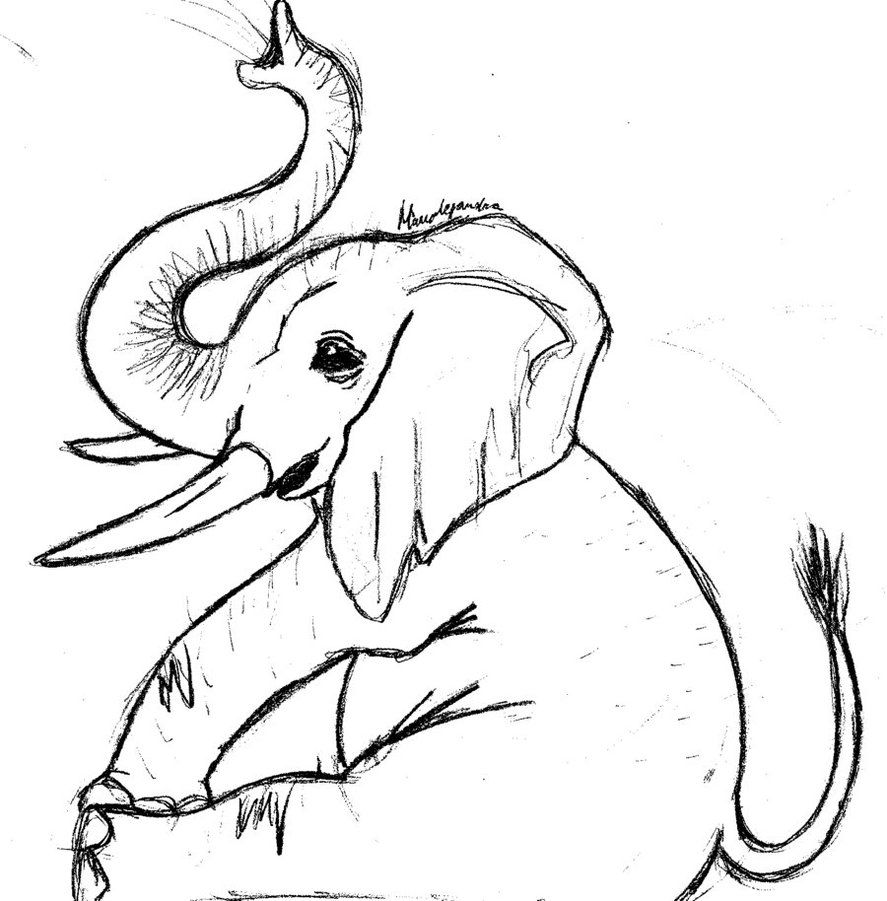 Detail Cute Baby Elephant Drawing Nomer 17