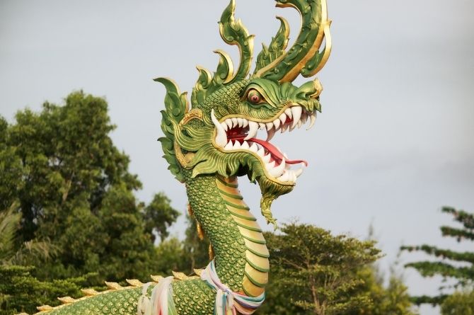 Detail Foto Ular Naga Nomer 13