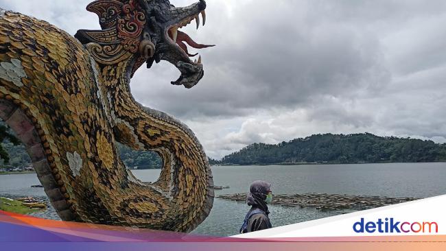 Detail Foto Ular Naga Nomer 15