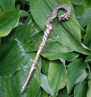 Detail Foto Ular Naga Nomer 39