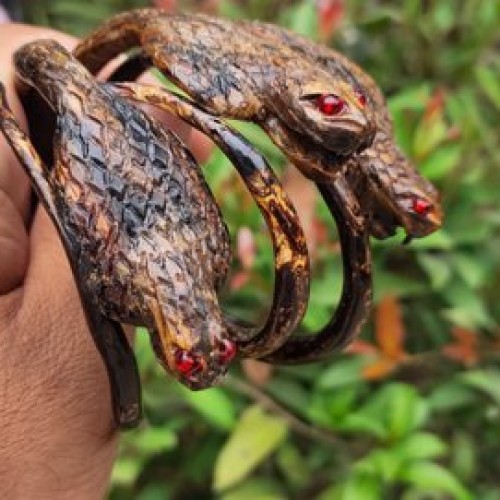 Detail Foto Ular Naga Nomer 40