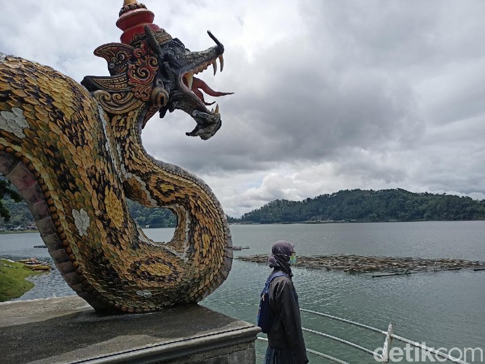 Detail Foto Ular Naga Nomer 41