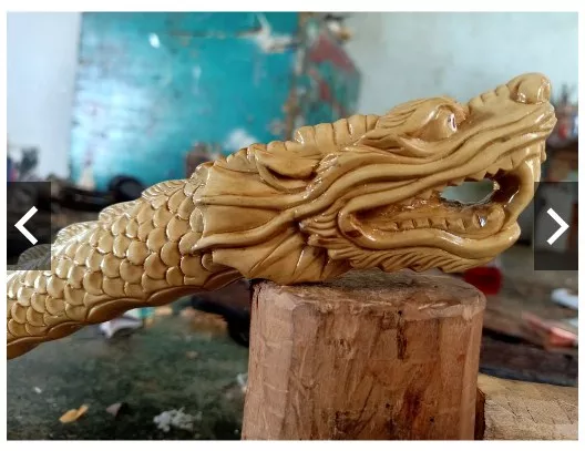 Detail Foto Ular Naga Nomer 42