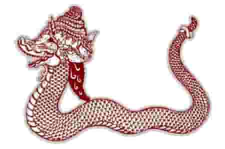 Detail Foto Ular Naga Nomer 46
