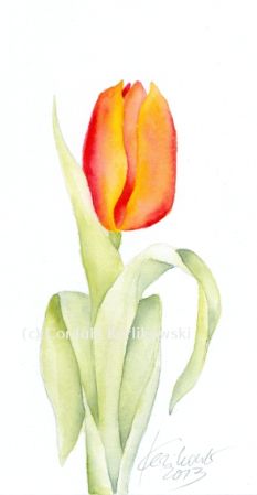Tulpen Aquarell - KibrisPDR