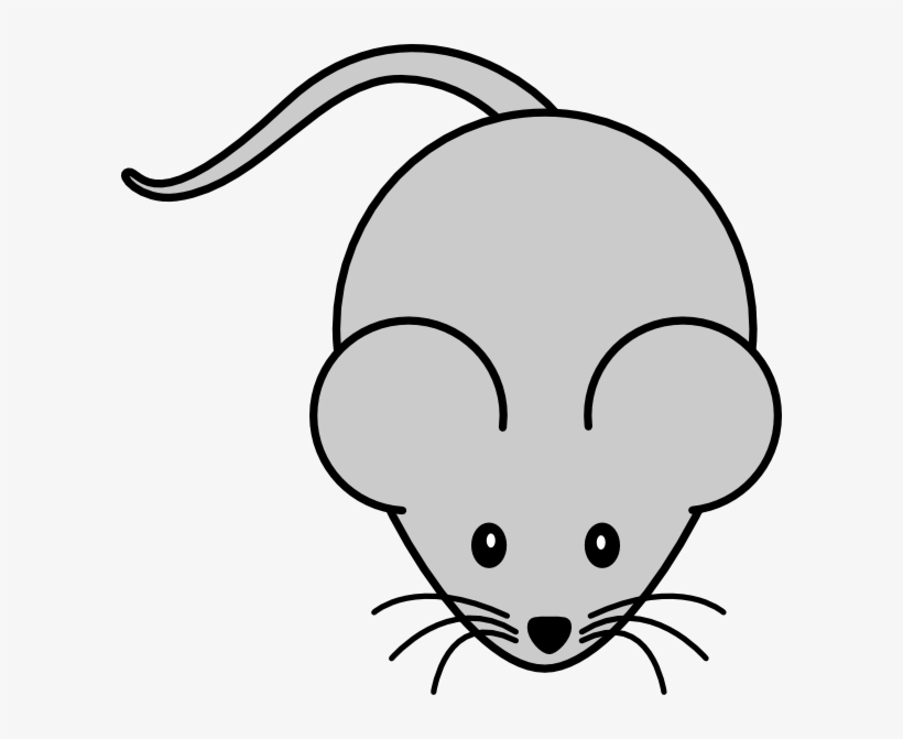 Detail Lab Mouse Image Nomer 5