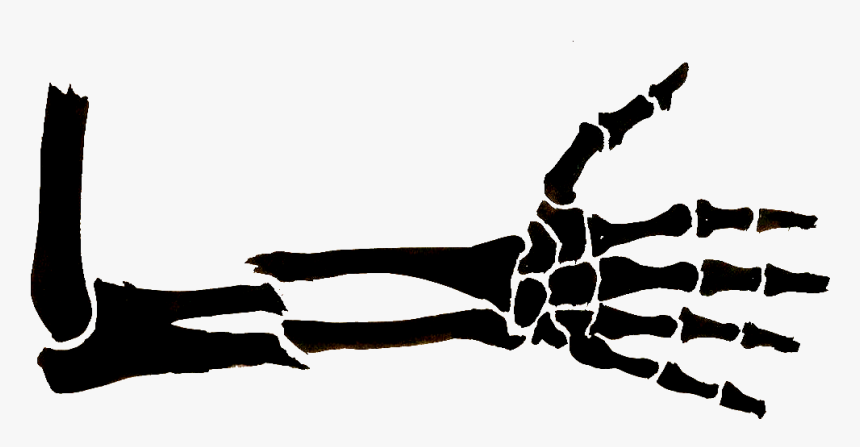 Detail Bone Drawing Nomer 17