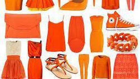 Detail Foto Warna Orange Nomer 29