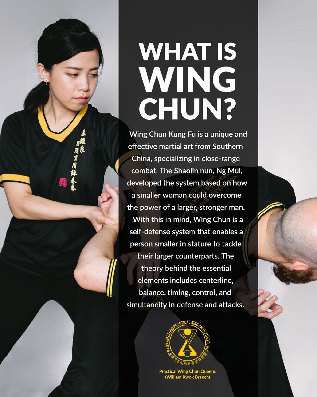 Detail Foto Wing Chun Nomer 18