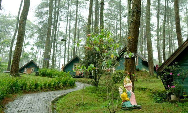 Download Foto Wisata Lembang Bandung Nomer 5