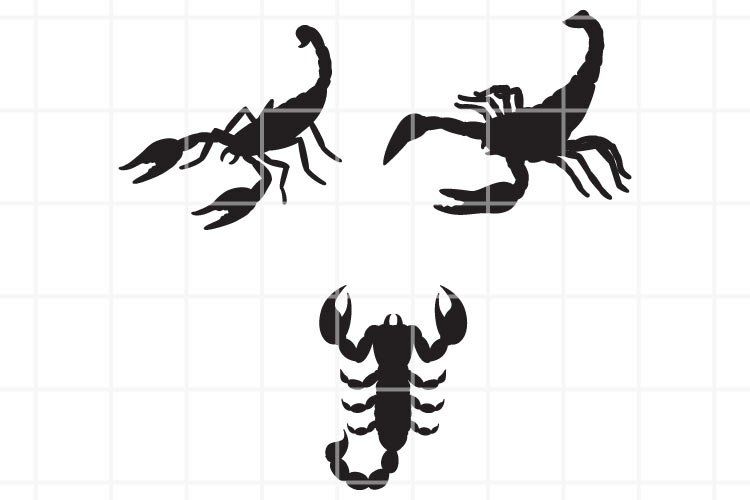 Detail Scorpion Font Nomer 12