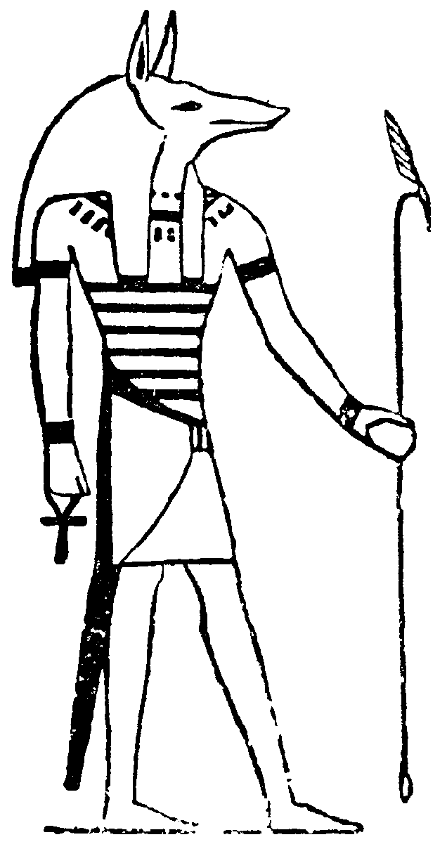 Detail Anubis Drawing Nomer 10