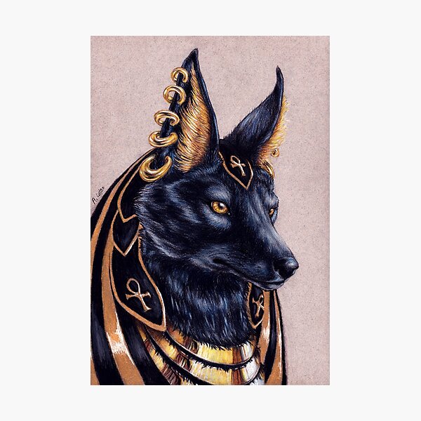 Detail Anubis Drawing Nomer 20