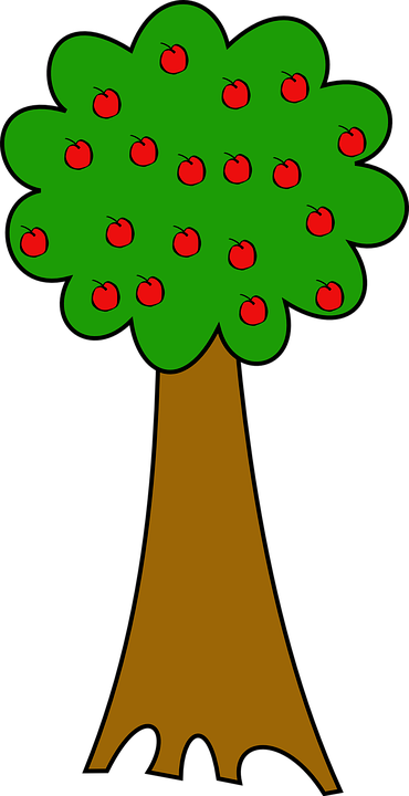 Detail Bild Apfelbaum Nomer 22