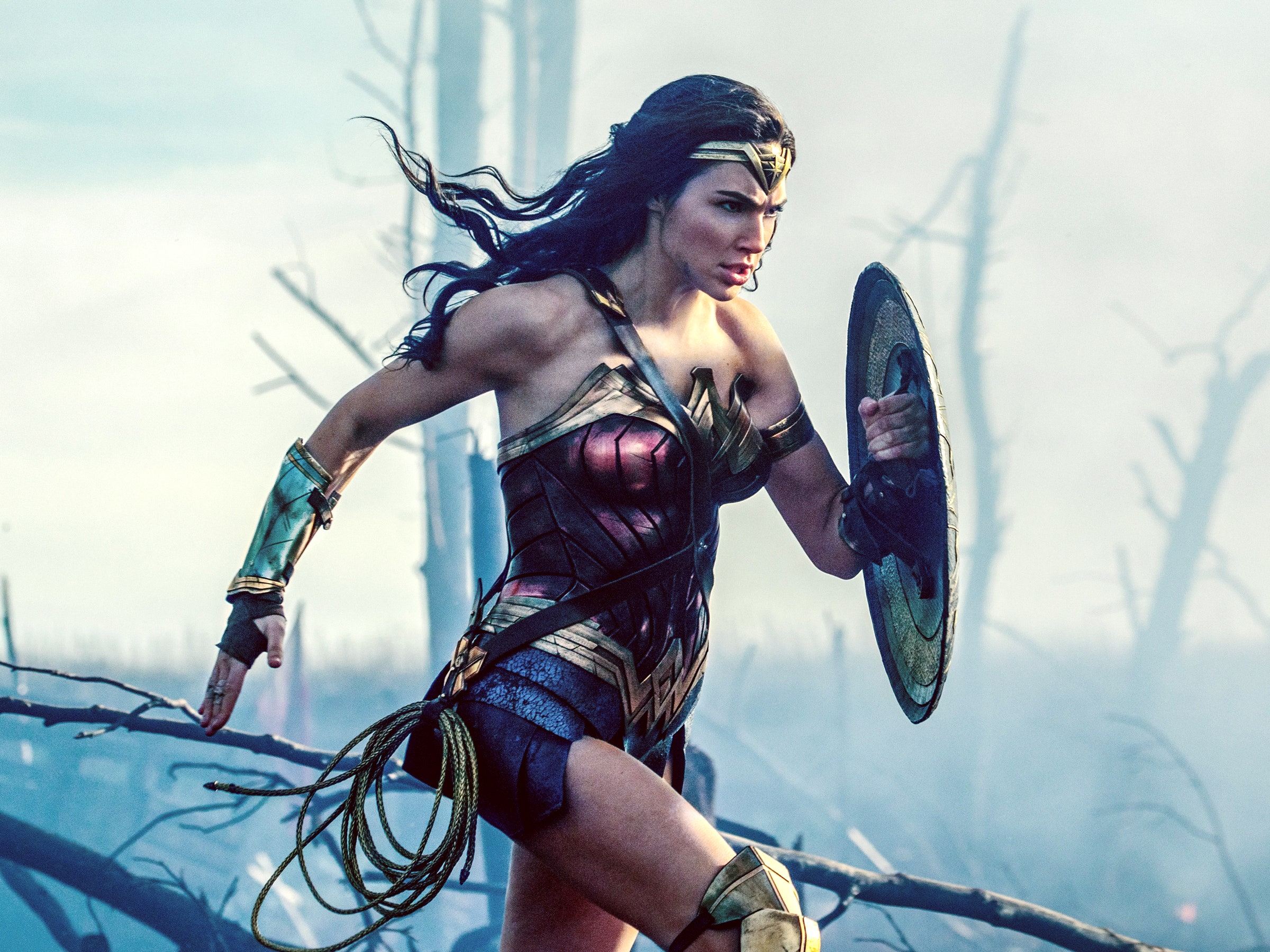 Detail Foto Wonder Woman Nomer 11