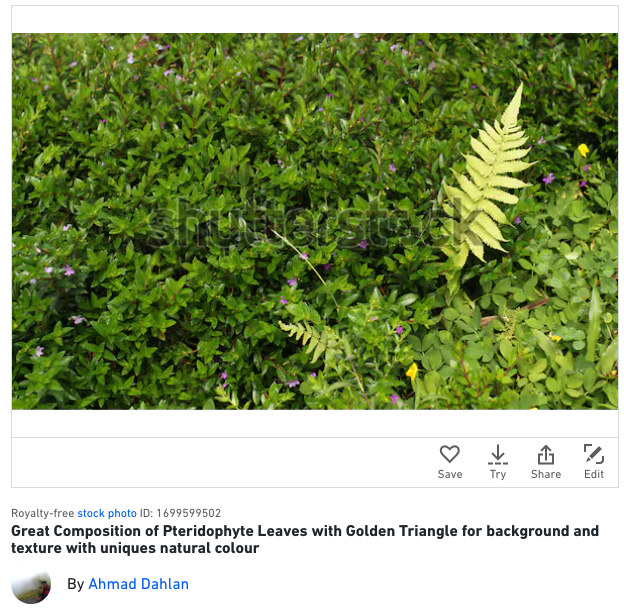 Detail Foto Yang Laris Di Shutterstock Nomer 2