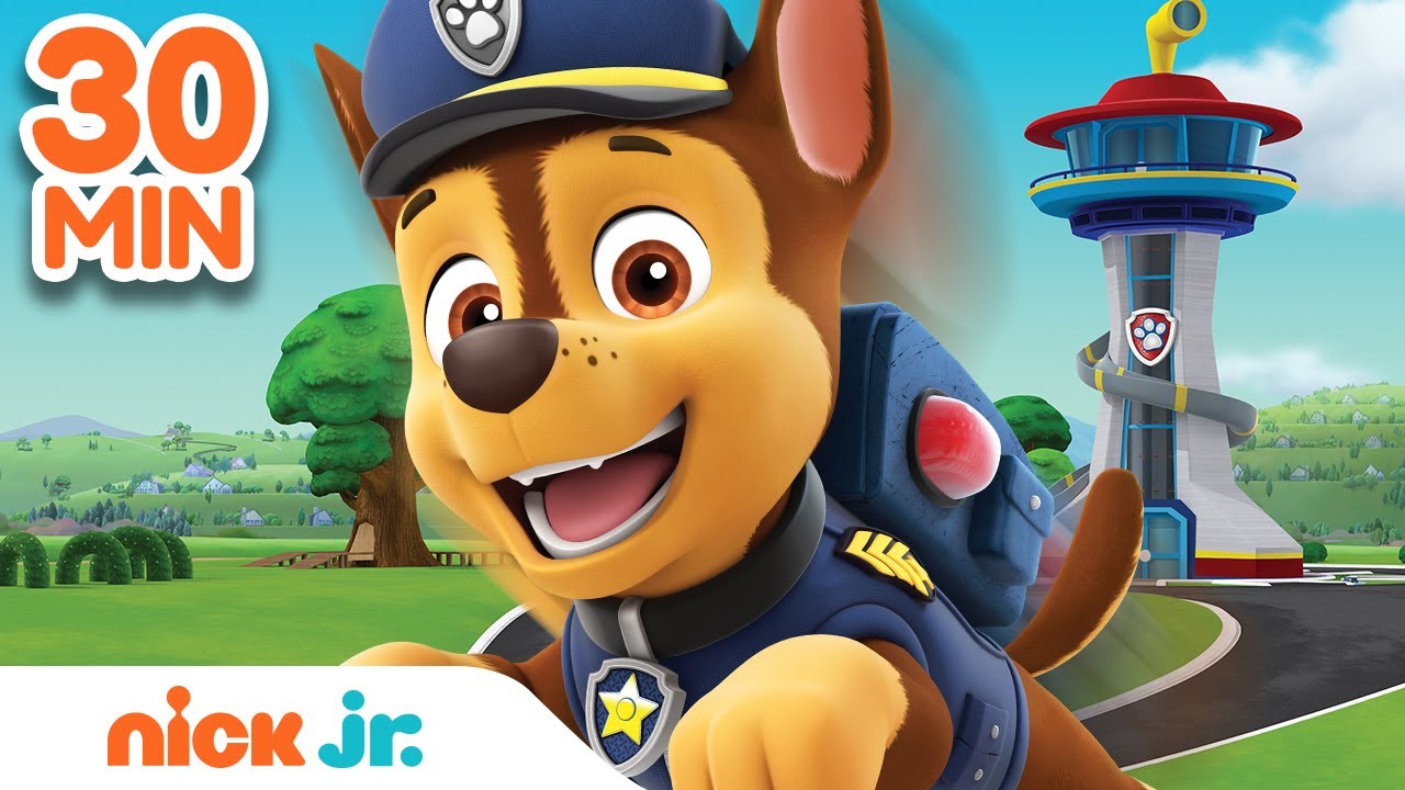 Detail Fotos De Paw Patrol Nomer 21