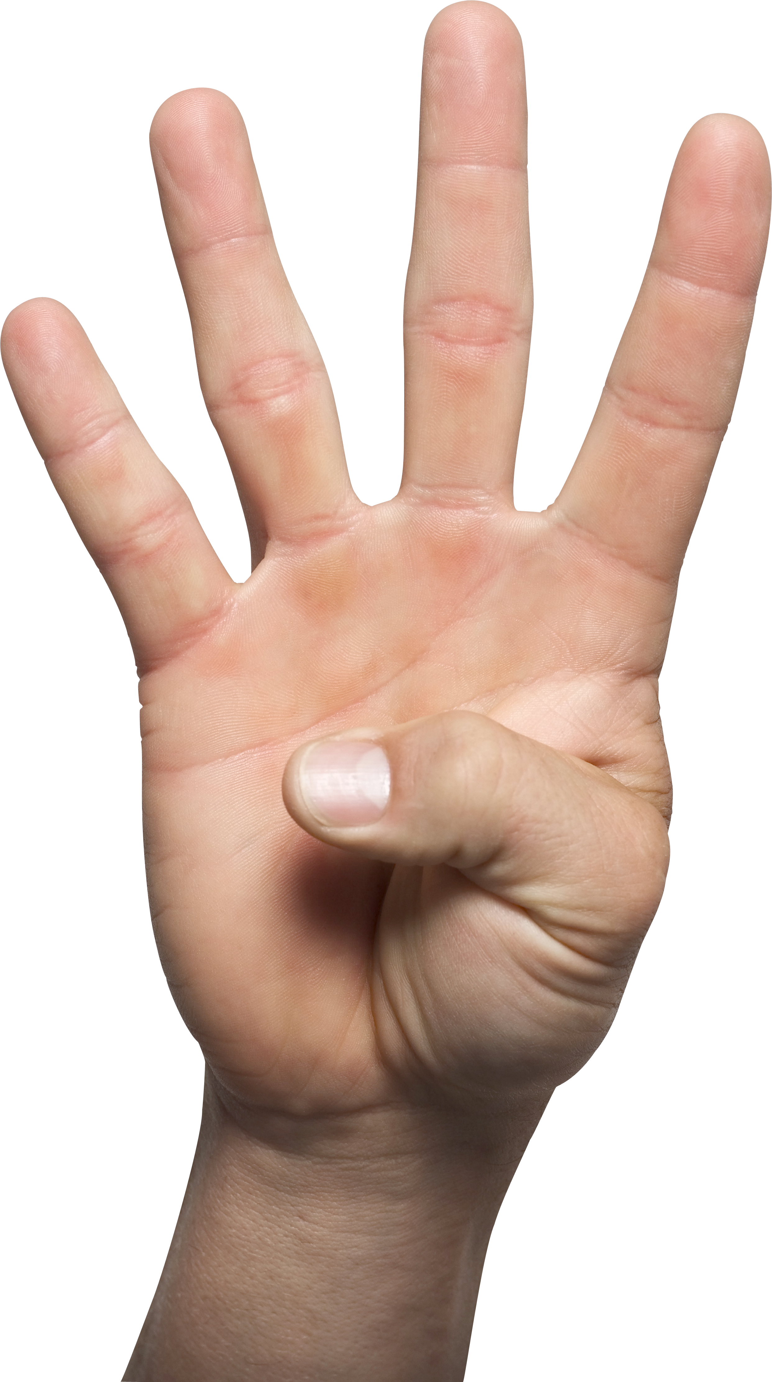 Four Hand - KibrisPDR