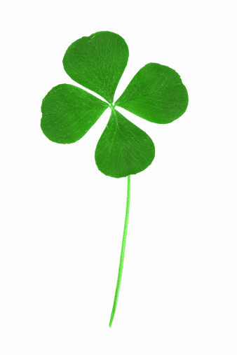 Detail Four Leaf Clover Iphone Wallpaper Nomer 33