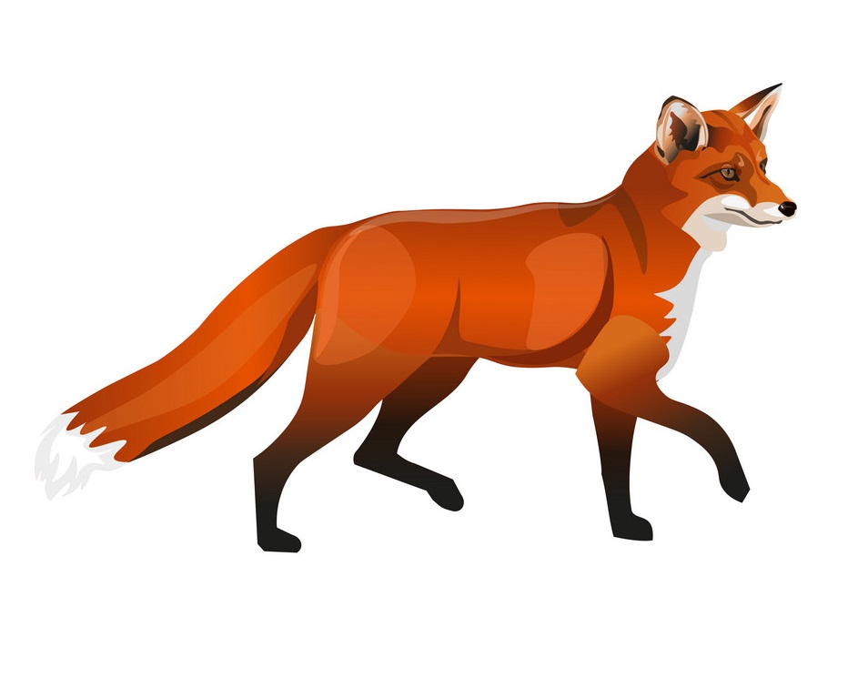 Detail Fox Clipart Nomer 12