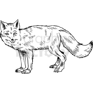 Detail Fox Clipart Black And White Nomer 33