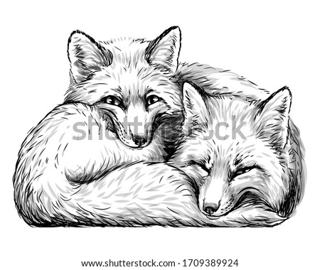 Detail Fox Clipart Black And White Nomer 37