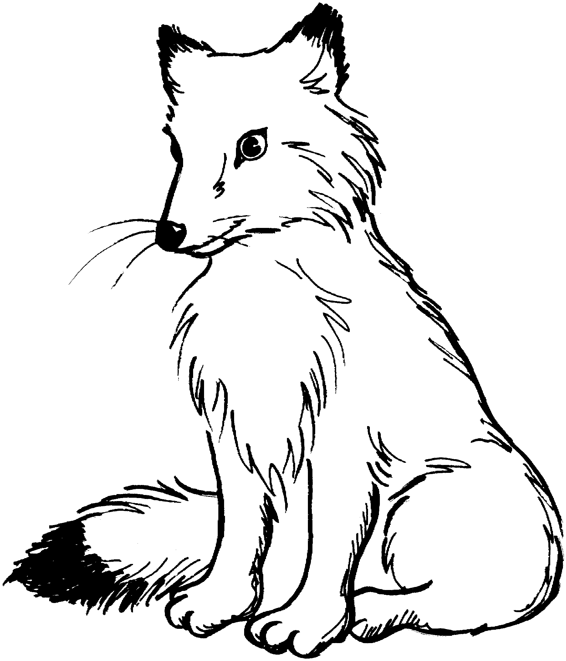 Detail Fox Clipart Black And White Nomer 9