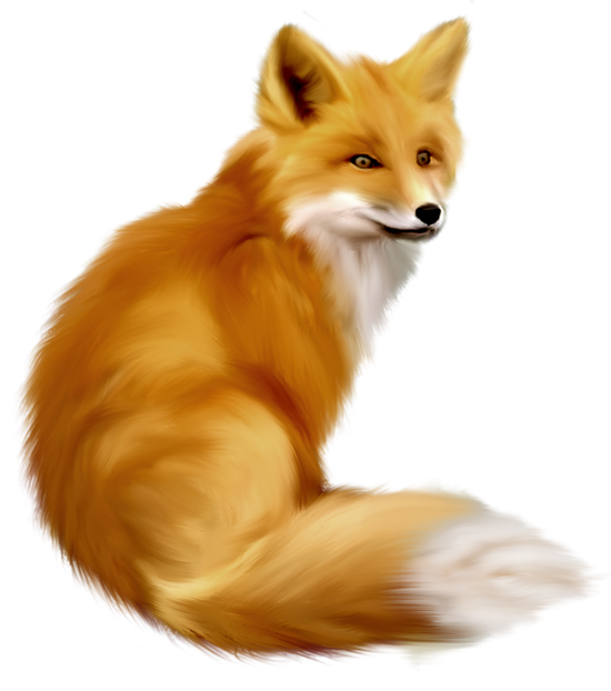 Detail Fox Clipart Free Nomer 35