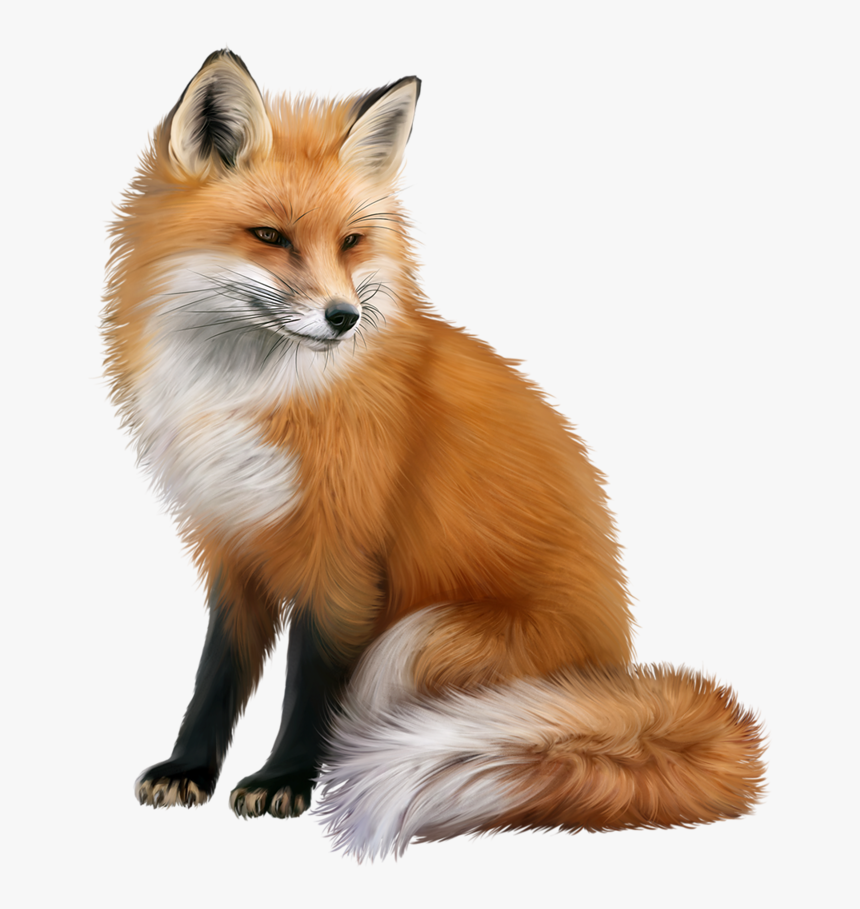 Detail Fox Free Download Nomer 7