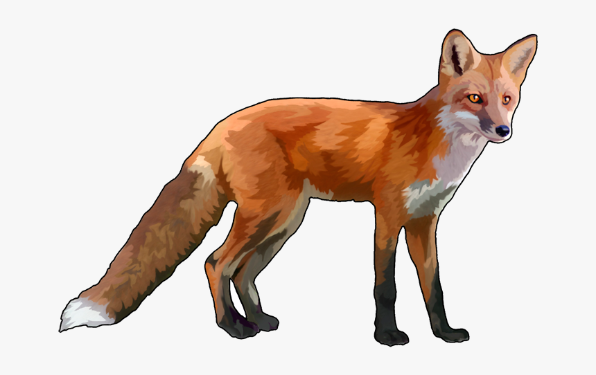 Detail Fox No Background Nomer 23