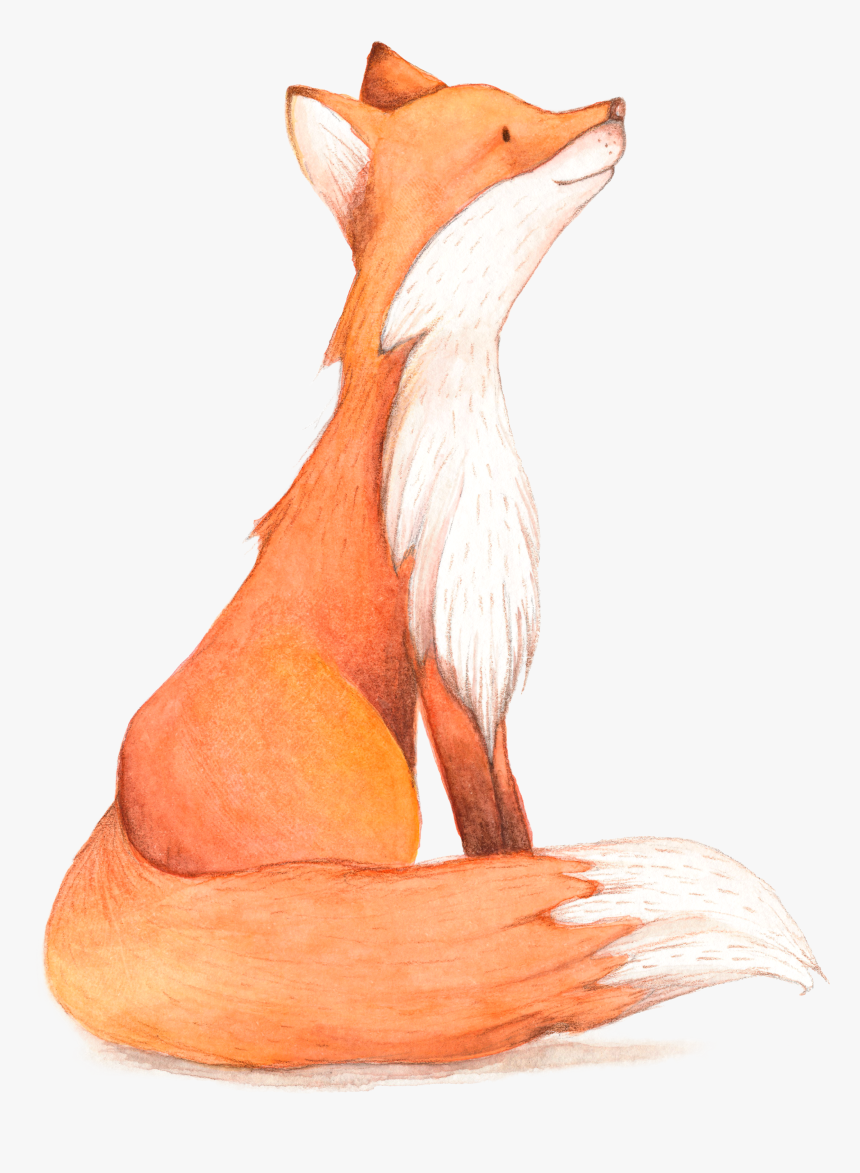 Detail Fox No Background Nomer 26