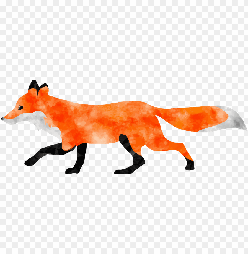 Detail Fox No Background Nomer 45