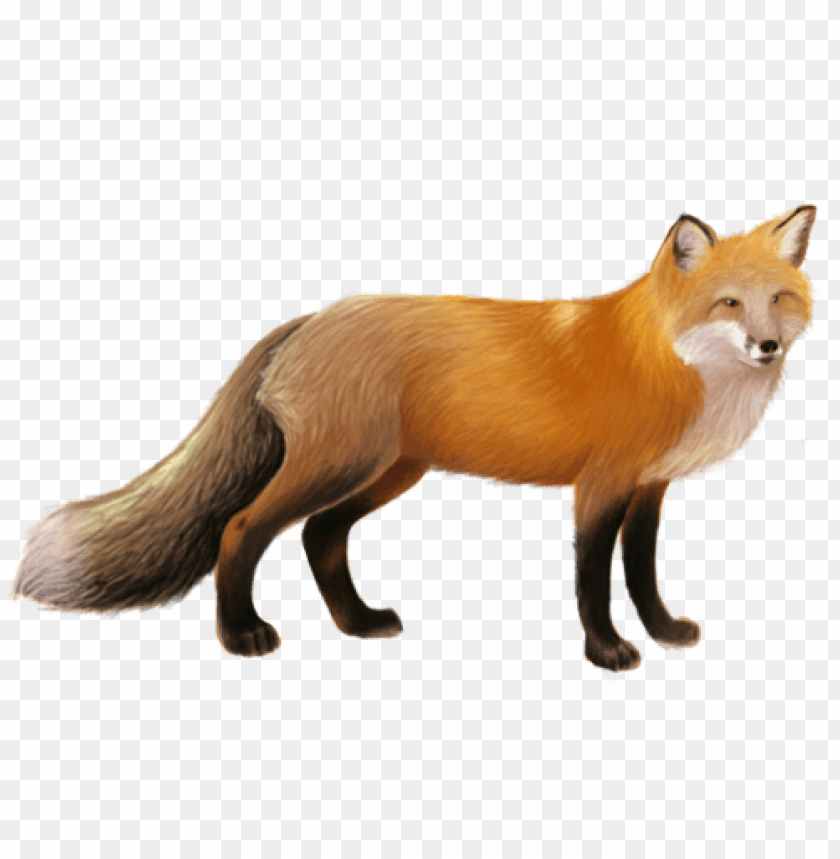 Detail Fox No Background Nomer 54