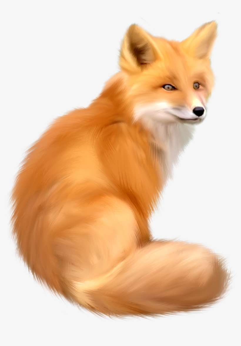 Detail Fox No Background Nomer 9