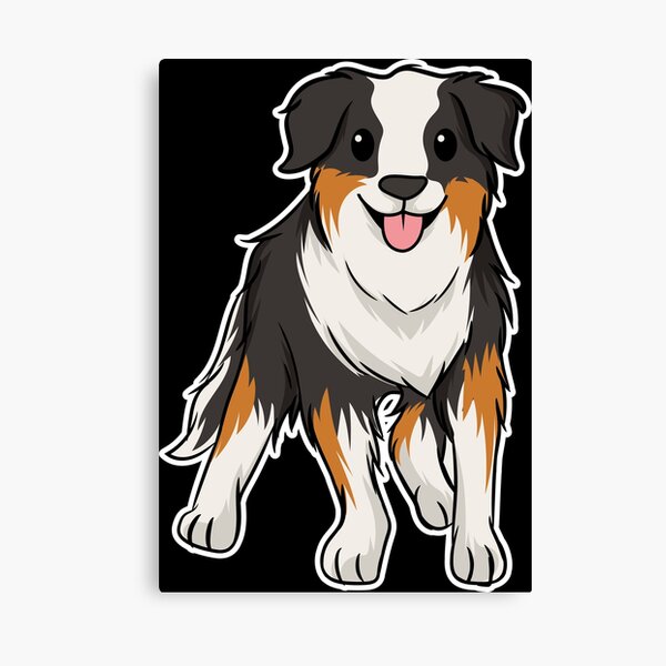 Detail Bilder Australian Shepherd Welpen Nomer 18