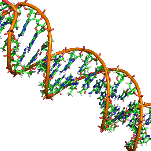 Detail Dna Figur Nomer 10