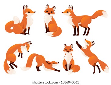 Detail Fox Stock Image Nomer 6