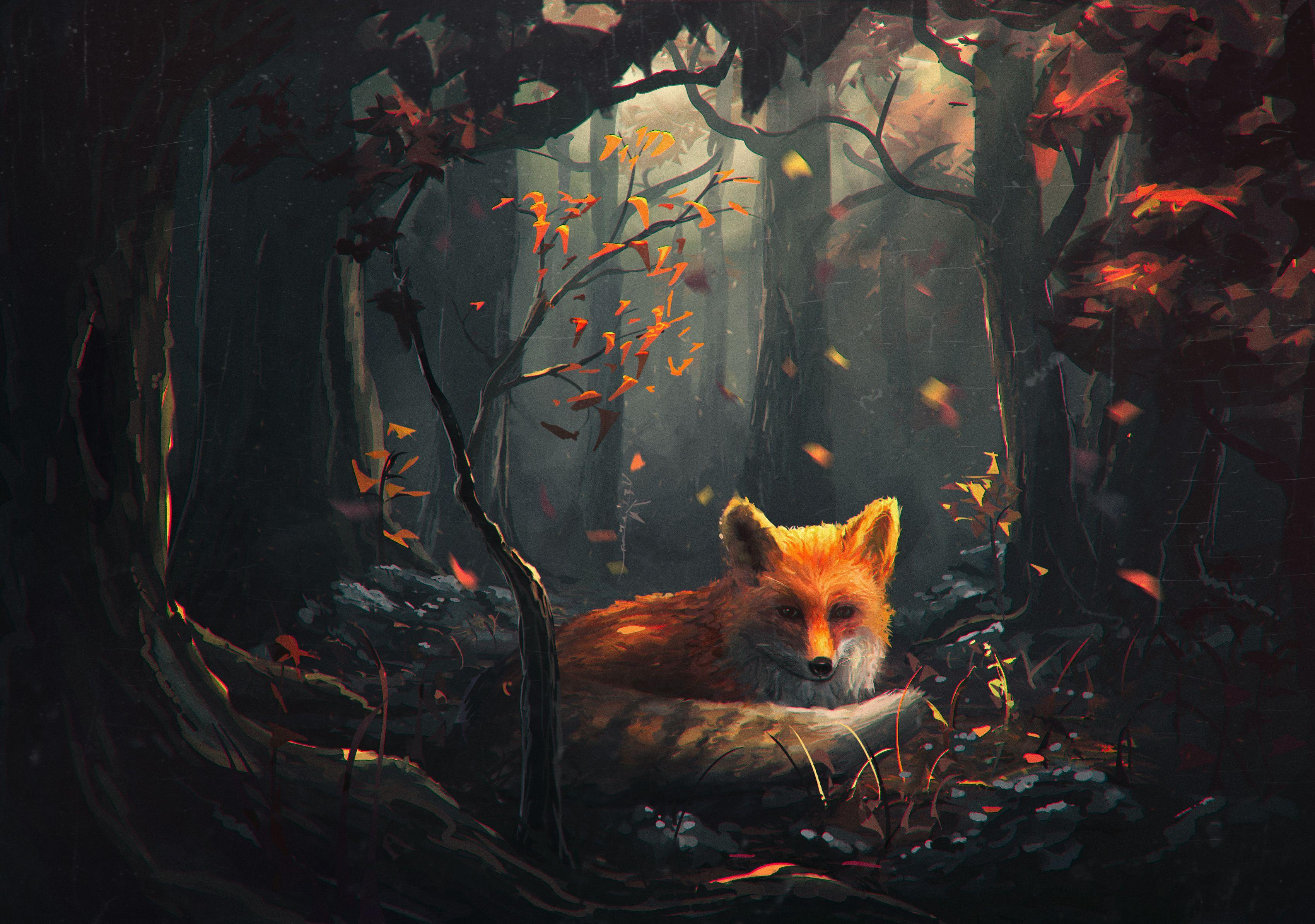 Detail Fox Wallpaper Hd Nomer 30