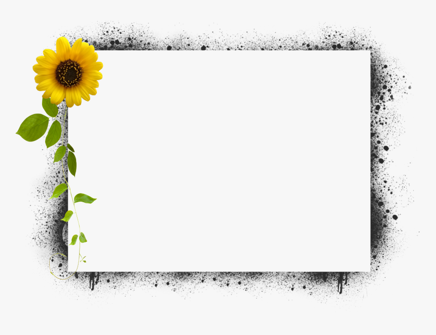 Detail Frame 3d Png Nomer 53