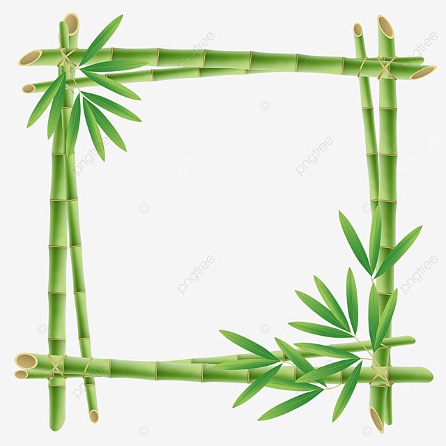 Detail Frame Bambu Png Nomer 41