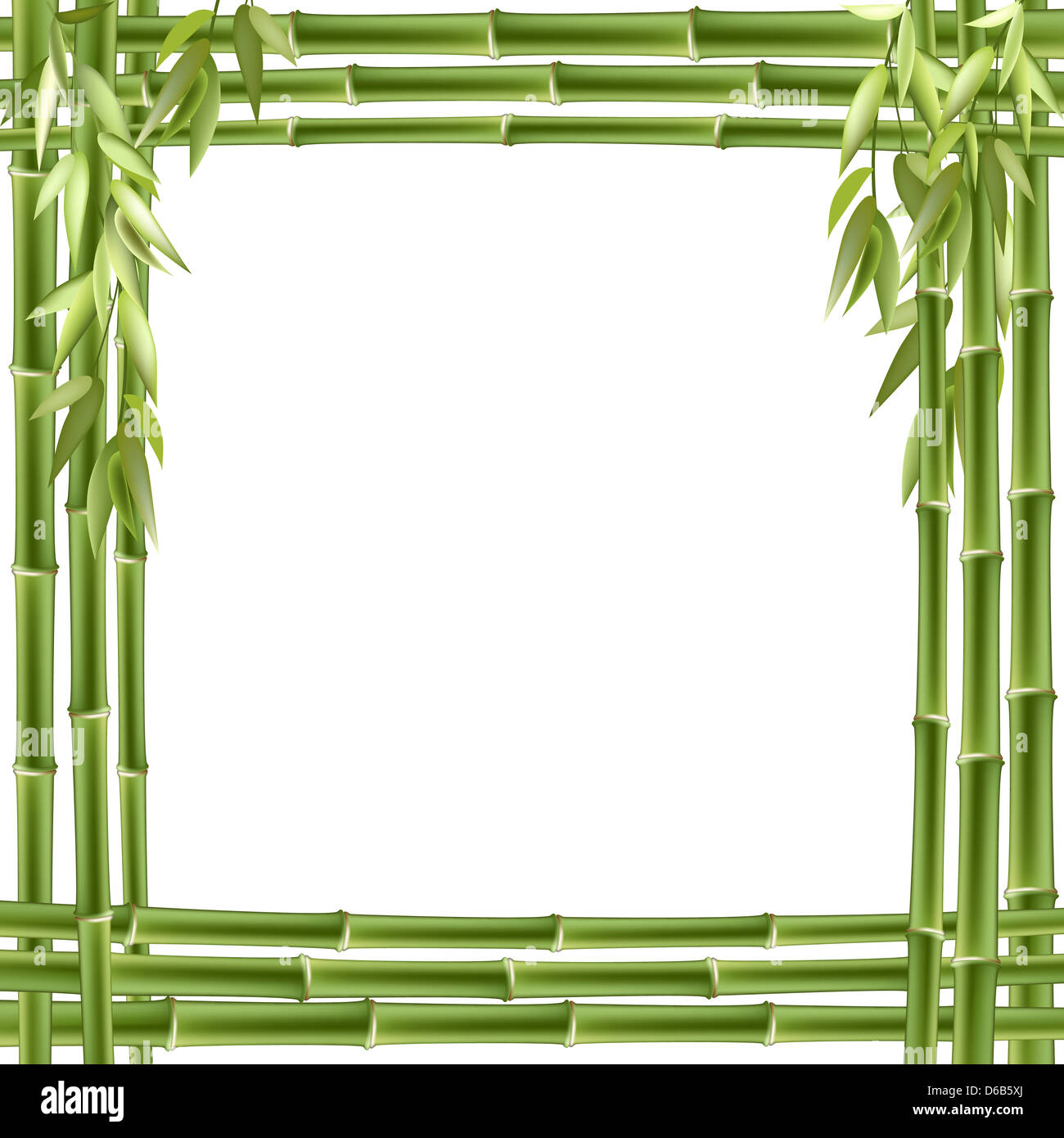 Detail Frame Bambu Png Nomer 44