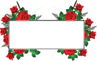Detail Frame Bunga Mawar Merah Nomer 49