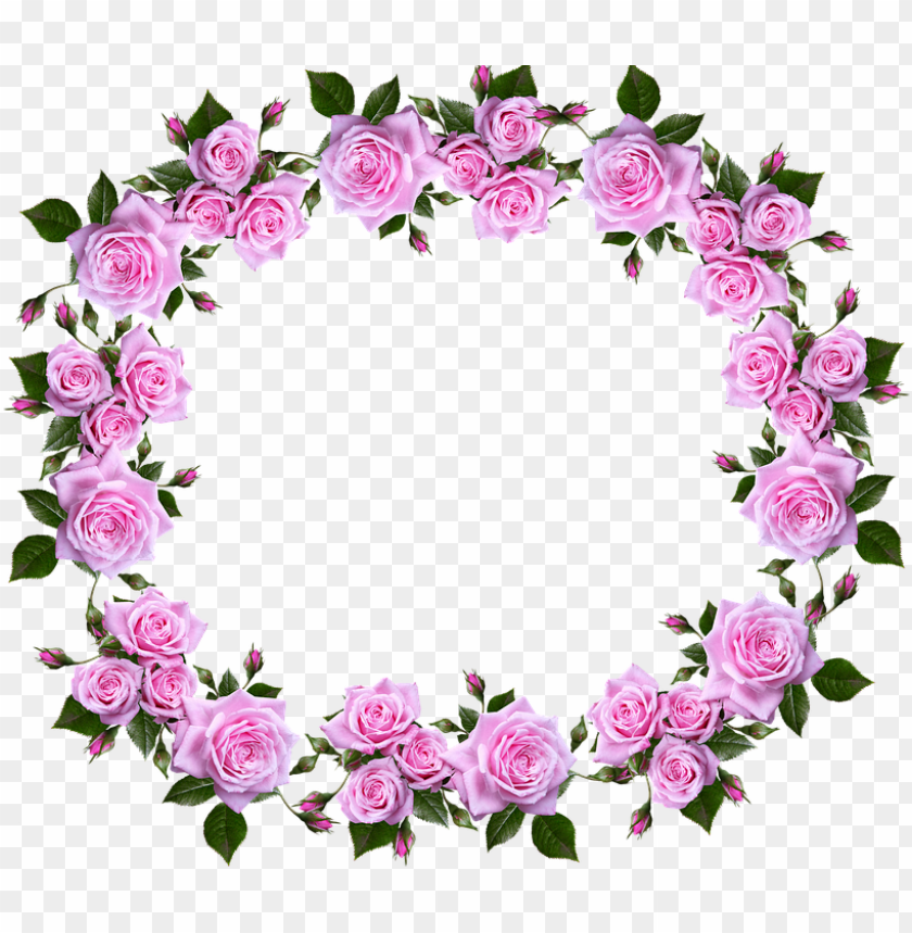 Detail Frame Bunga Mawar Pink Nomer 23