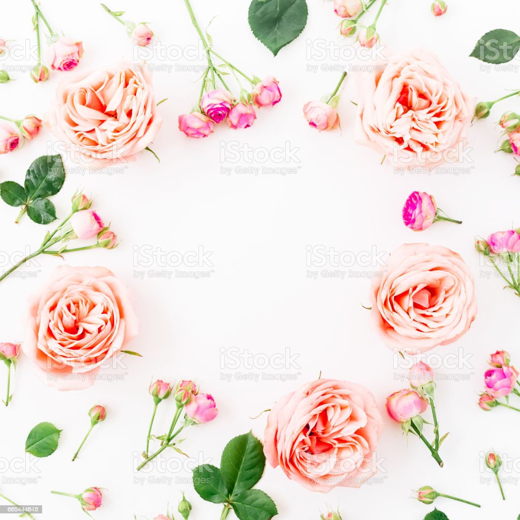 Detail Frame Bunga Mawar Pink Nomer 55