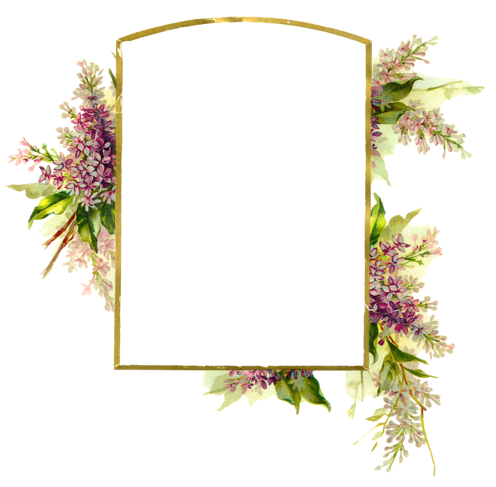 Detail Frame Png Flower Nomer 26