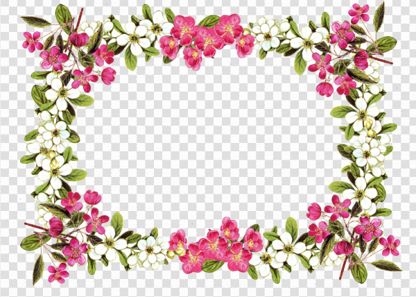 Detail Frame Png Flower Nomer 46