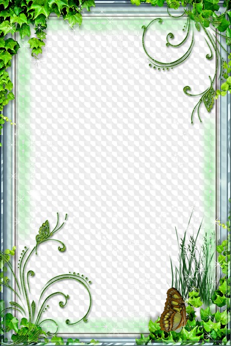 Detail Frame Png Free Download Nomer 35