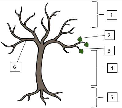 Detail Herbst Quiz Zum Ausdrucken Nomer 18