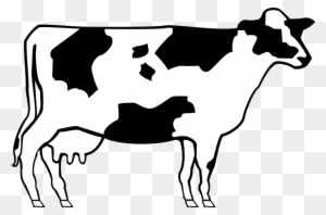 Detail Cow With World Map Nomer 13